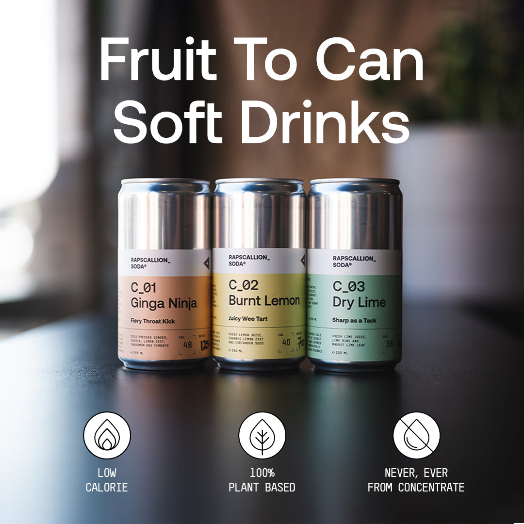 Rapscallion - Ginga Ninja Soda