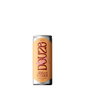 Douze - Apricot & Zaatar – Cans