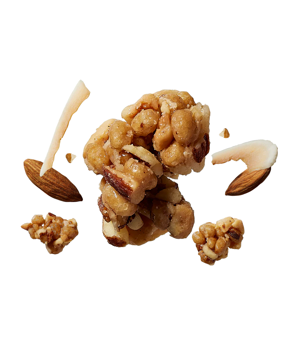 Raise Snacks – Toasted Coconut & Almond