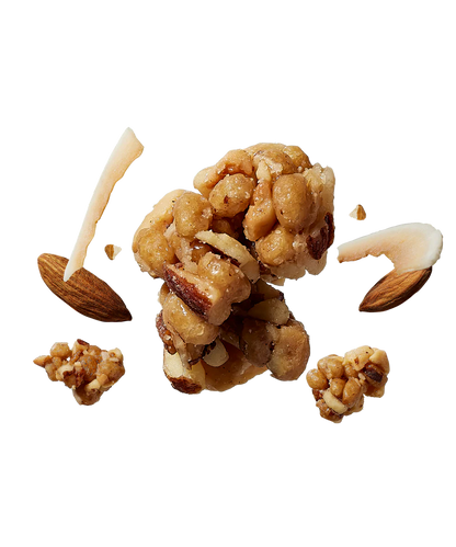 Raise Snacks – Toasted Coconut & Almond