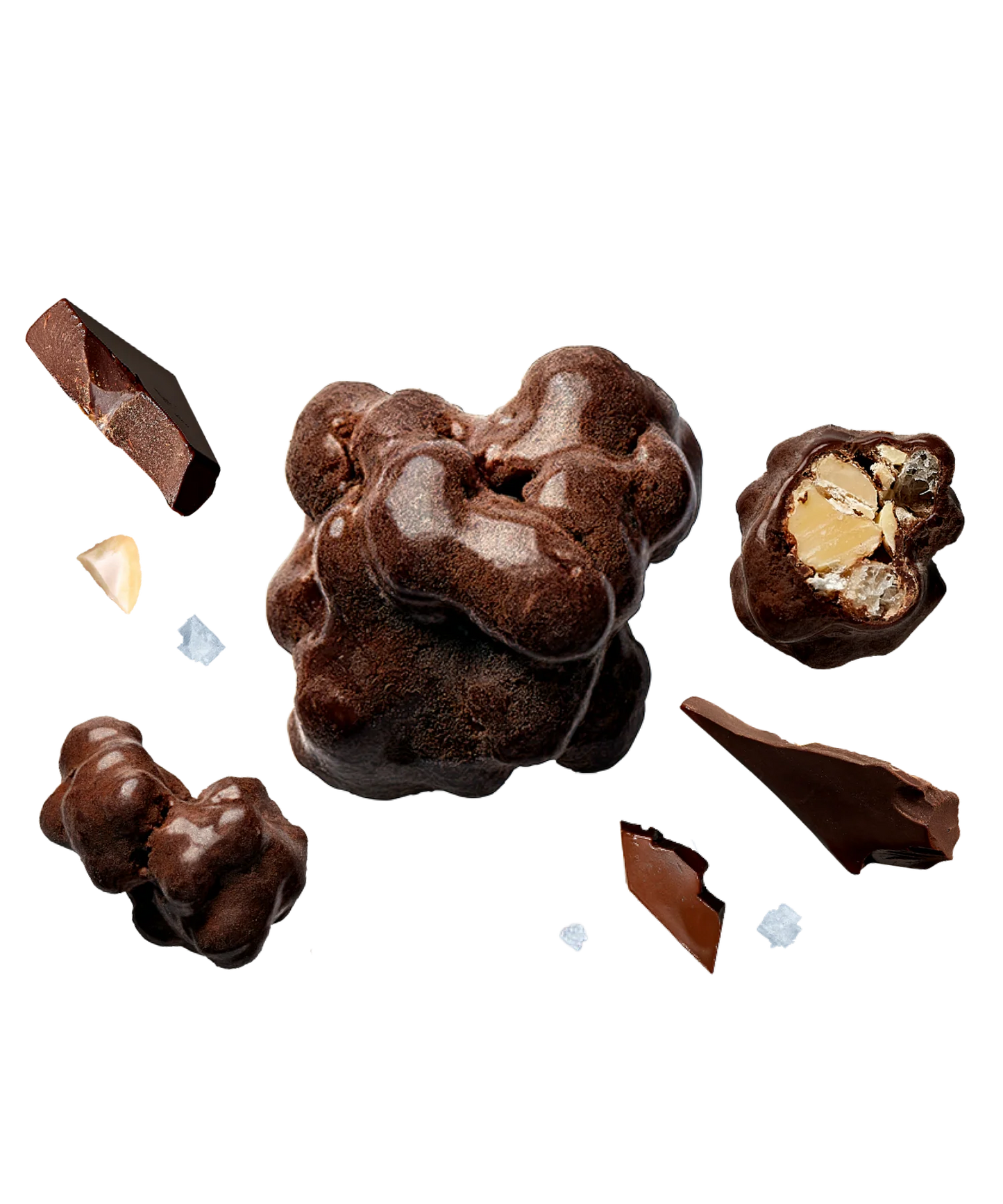Raise Snacks - Dark Chocolate & Sea Salt