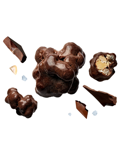 Raise Snacks - Dark Chocolate & Sea Salt