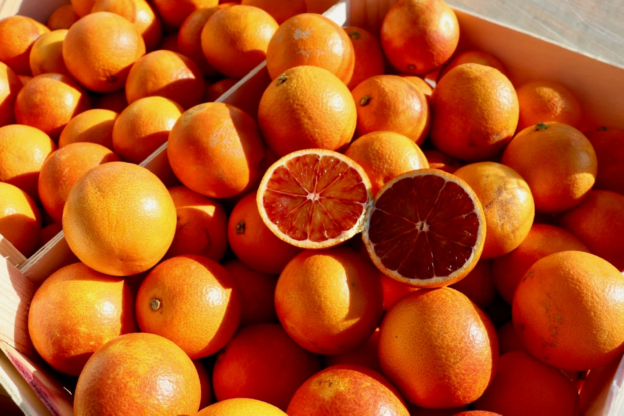 Steep Soda Co - Blood Orange *Seasonal*