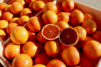 Steep Soda Co - Blood Orange *Seasonal*