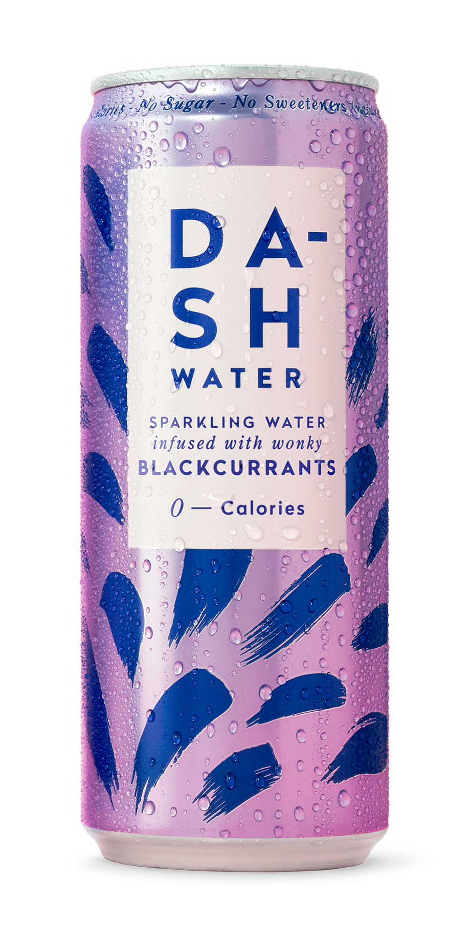 Dash Water Blackcurrent12 x 330ML Cans Stores Supply